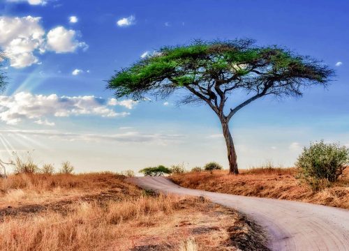South Africa